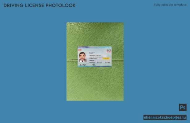 Beispielvorschau für das Foto des surinameischen Führerscheins